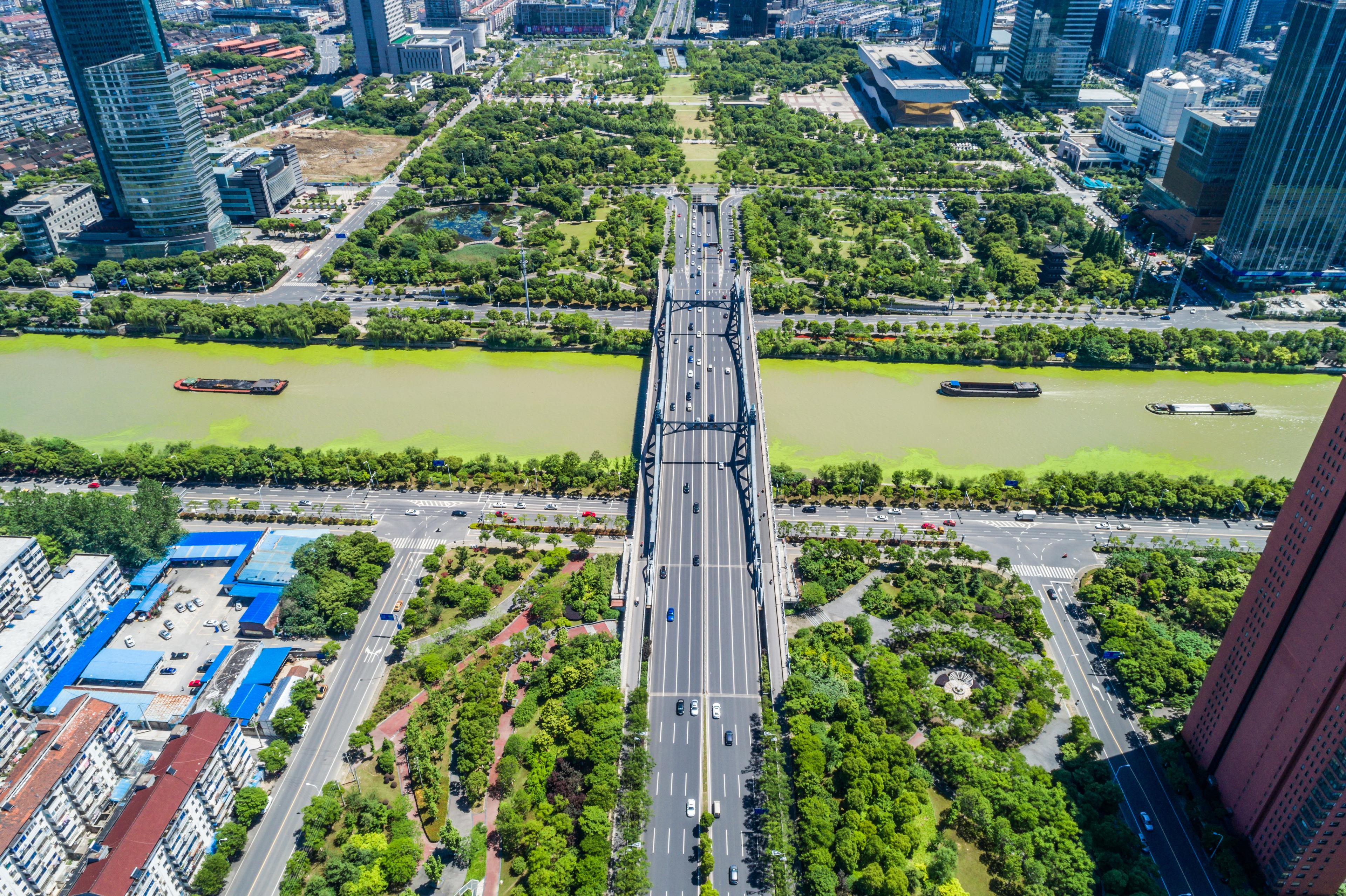 Bridge with City Skyline